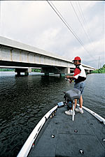 Bridge fishing