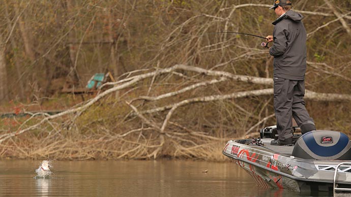 Jig, Worm or Tube?  The Ultimate Bass Fishing Resource Guide® LLC