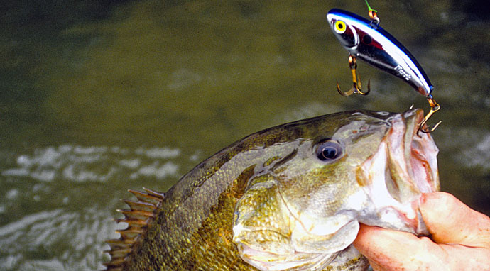 You NEED To Be Fishing These Baits In Ponds! (Bass Fishing Tips