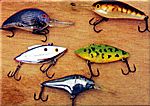 Crankbaits