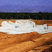 Gravel for spawning beds and some upright structures for fish to orient.