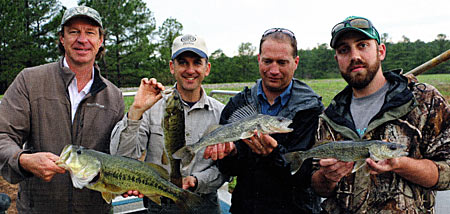 An electrofishing survey can give you a snapshot of the past season and clues about what to do this fall.