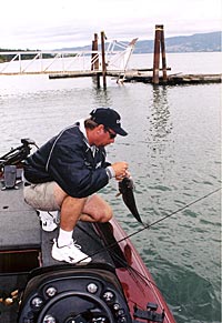 Gary Dobyns does a lot of flipping in Marinas because of all the vertical structure.