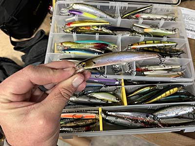 Many popular jerkbaits are approximately 110mm long, but using smaller or even larger ones can sometimes help.