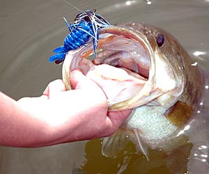 TIPS AND TRICKS FOR SLOW JIGGING  TIPS YOU WON'T FIND ELSEWHERE