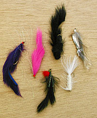 Streamers can be fished on sinking line with a fly rod, but they also make fantastic drop shot lures. The feathers, marabou, and flash make them very enticing in the water.