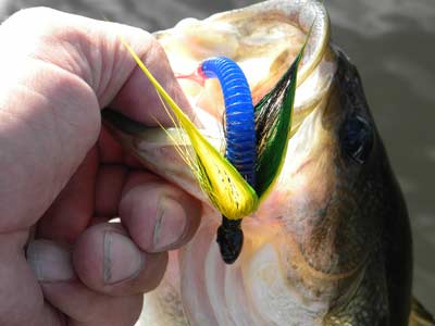 Hair Jig Tactics For Today's Bass