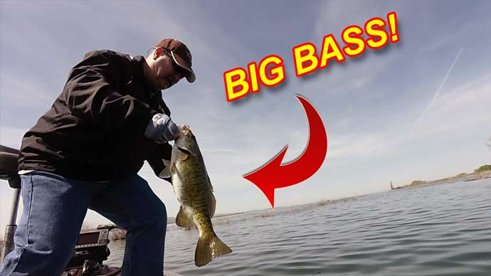Year-Round Bass Fishing With Hair Jigs, Video