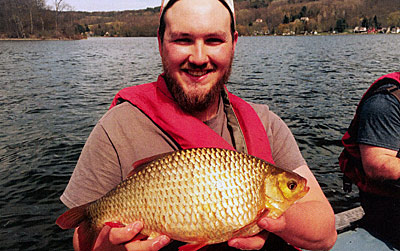 European Rudd, not to be confused with golden shiner. Notice the red fins. These fish have displaced native minnow species in lakes all along the eastern seaboard.