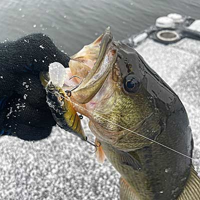 Jerkbaits have long been a cold-water staple, but they work well in all conditions.