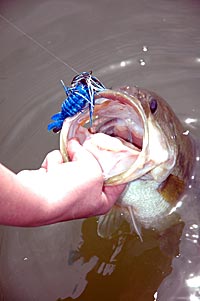 Jigs for Springtime Lunkers-Part I  The Ultimate Bass Fishing Resource  Guide® LLC