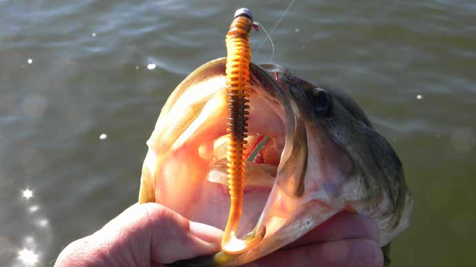 Bait well ideas? - Texas Fishing Forum