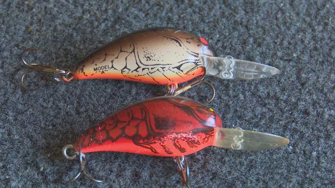 Late Fall Crankbaits