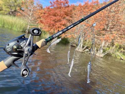 The Evolution of the Umbrella Rig and How to Fish It