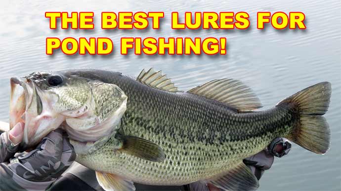 Best Lures for Pond Fishing Without a Boat, Video
