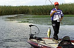 Michael Iaconelli