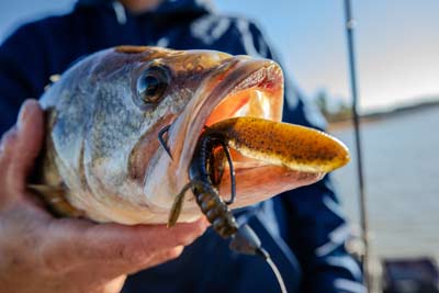 Gamakatsu Nano Alpha Hooks