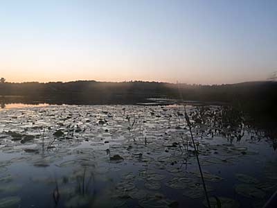 Perfect fishing day