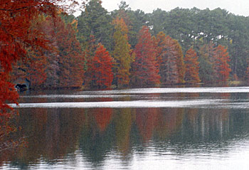 Fisherman pay handsomely for views like this.