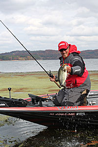 Punching grass for bass