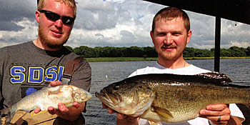 One big bass we collected had a huge bluegill in its mouth.