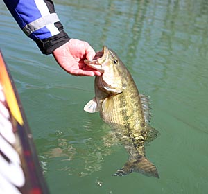 Summer fishing