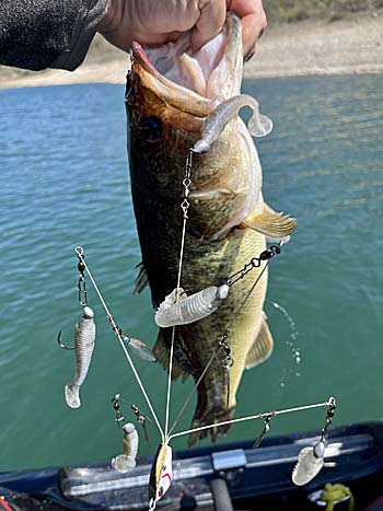 An Alabama Rig will work in many situations, but it's ideal for wintertime bass fishing.