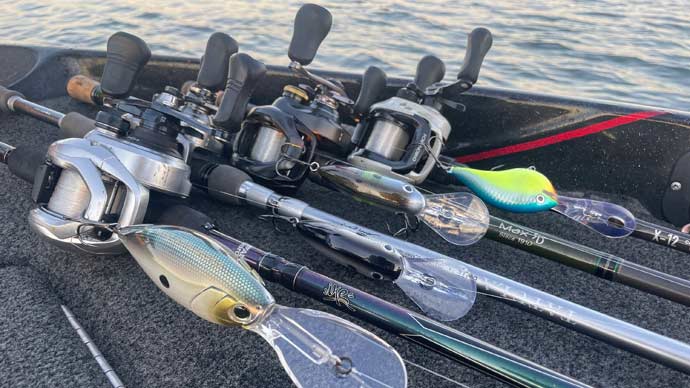 A Few Tips for Choosing the Right Fishing Rod