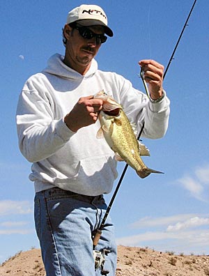 Beginner's Guide to Senkos  The Ultimate Bass Fishing Resource