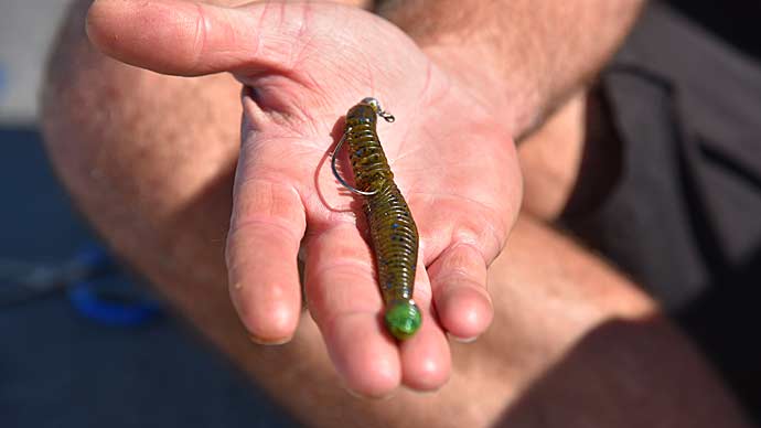 6 Secret Baits For Catching Fish
