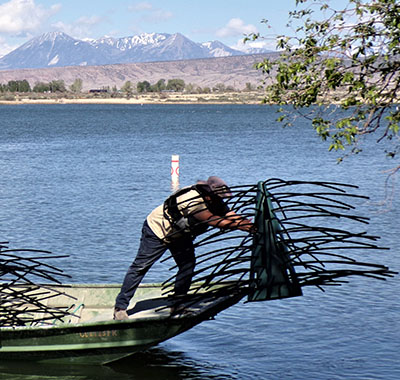 Fishing at Sweitzer is catch-and-release only, and these regulations should encourage the development of a quality sport fishery for healthy largemouth bass. 