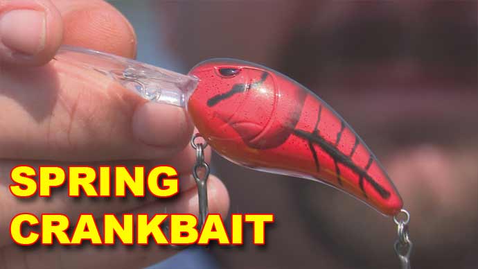 Spring crankbait fishing