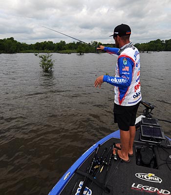 Making long-distant pitches to cover requires a 7-foot medium-heavy action rod and baitcast reel filled with heavy line.