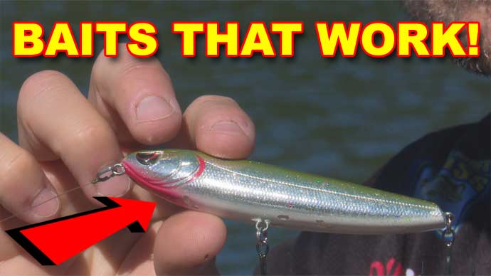 Spring Topwater Baits | Expert Advice from John Crews | Video | The ...