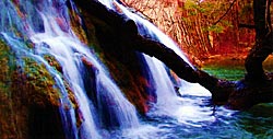 This beautiful waterfall and surrounding grotto were absolutely breathtaking.