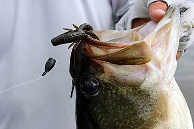 The Benefits of Using Tungsten Weights  The Ultimate Bass Fishing Resource  Guide® LLC