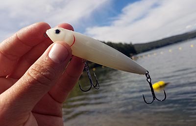 6 Must Have Bass Lures for Beginners