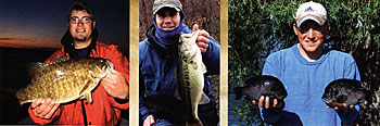 Left: smallmouth bass. Middle: Largemouth bass. Right: Bluegills