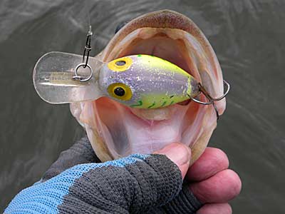 Top 5 Winter Tactics For Bass  The Ultimate Bass Fishing Resource
