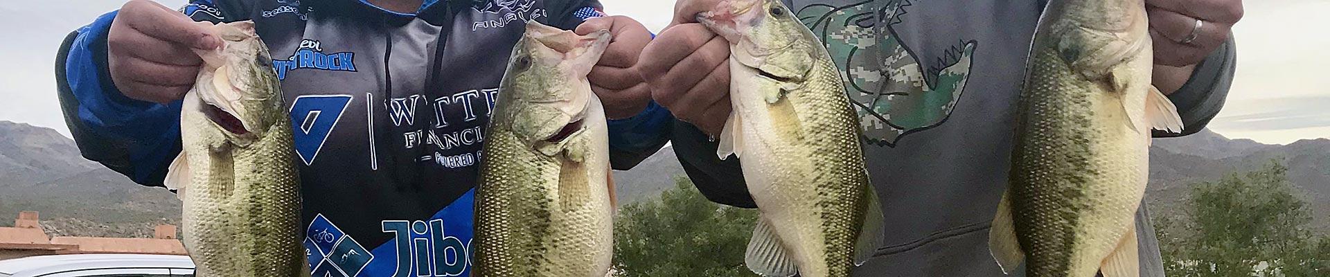 Chatterbait and Spook Fishing, College Level