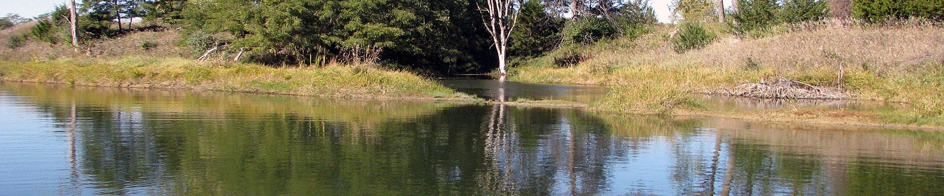 Fall pond