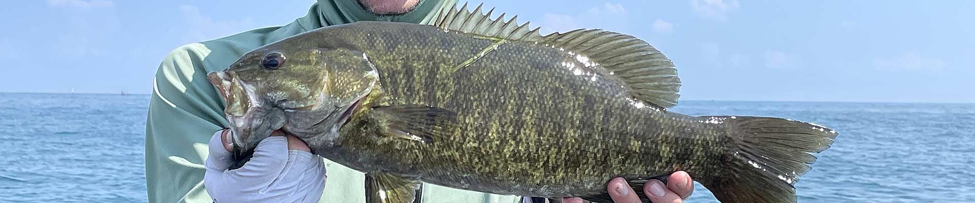 A Guide to Fishing Lake St. Clair  The Ultimate Bass Fishing Resource  Guide® LLC