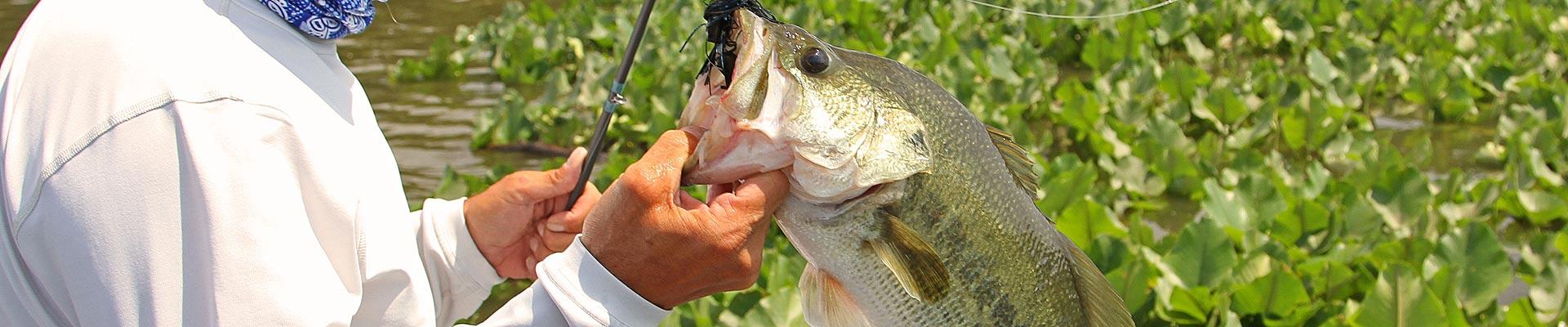 6 Proven Techniques for Prespawn Bass  The Ultimate Bass Fishing Resource  Guide® LLC