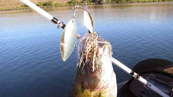 Don't Forget About Spinnerbaits For Smallmouth  The Ultimate Bass Fishing  Resource Guide® LLC
