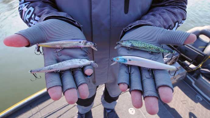 Lure Colors for Different Water Clarities  The Ultimate Bass Fishing  Resource Guide® LLC