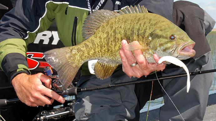 Big Bass Are No Fluke  The Ultimate Bass Fishing Resource Guide® LLC