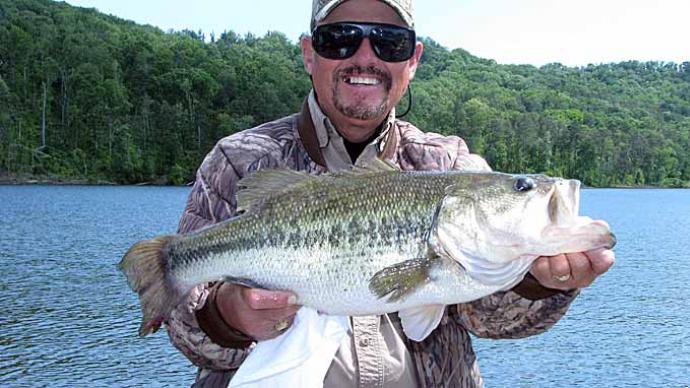 Shiners For Trophy Bass  The Ultimate Bass Fishing Resource Guide® LLC