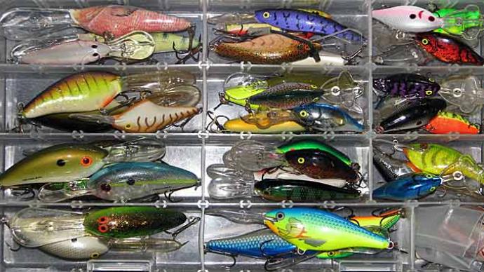 Any Time is Crankbait Time  The Ultimate Bass Fishing Resource