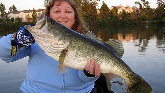 Fall Deep Structure Fishing for Numbers and Lunkers