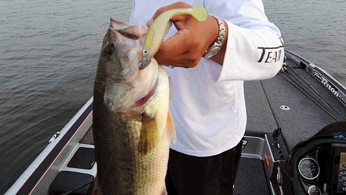 Fishing Swimbaits for Bass with Marcus Sykora  The Ultimate Bass Fishing  Resource Guide® LLC